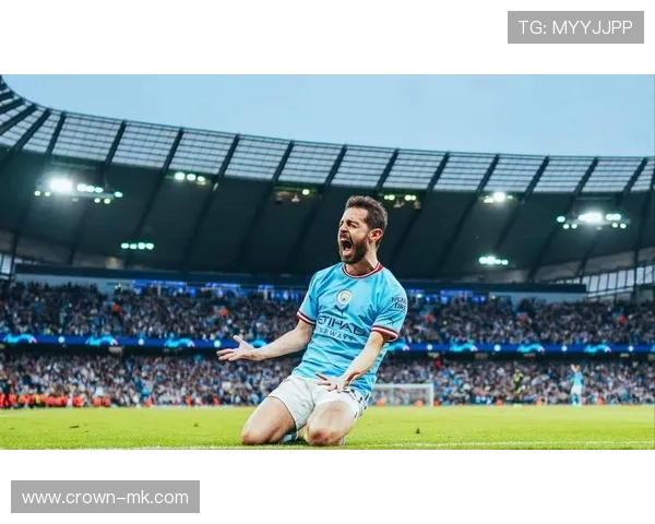 贝尔纳多视野广：全球热点一网打尽，深度解读不容错过